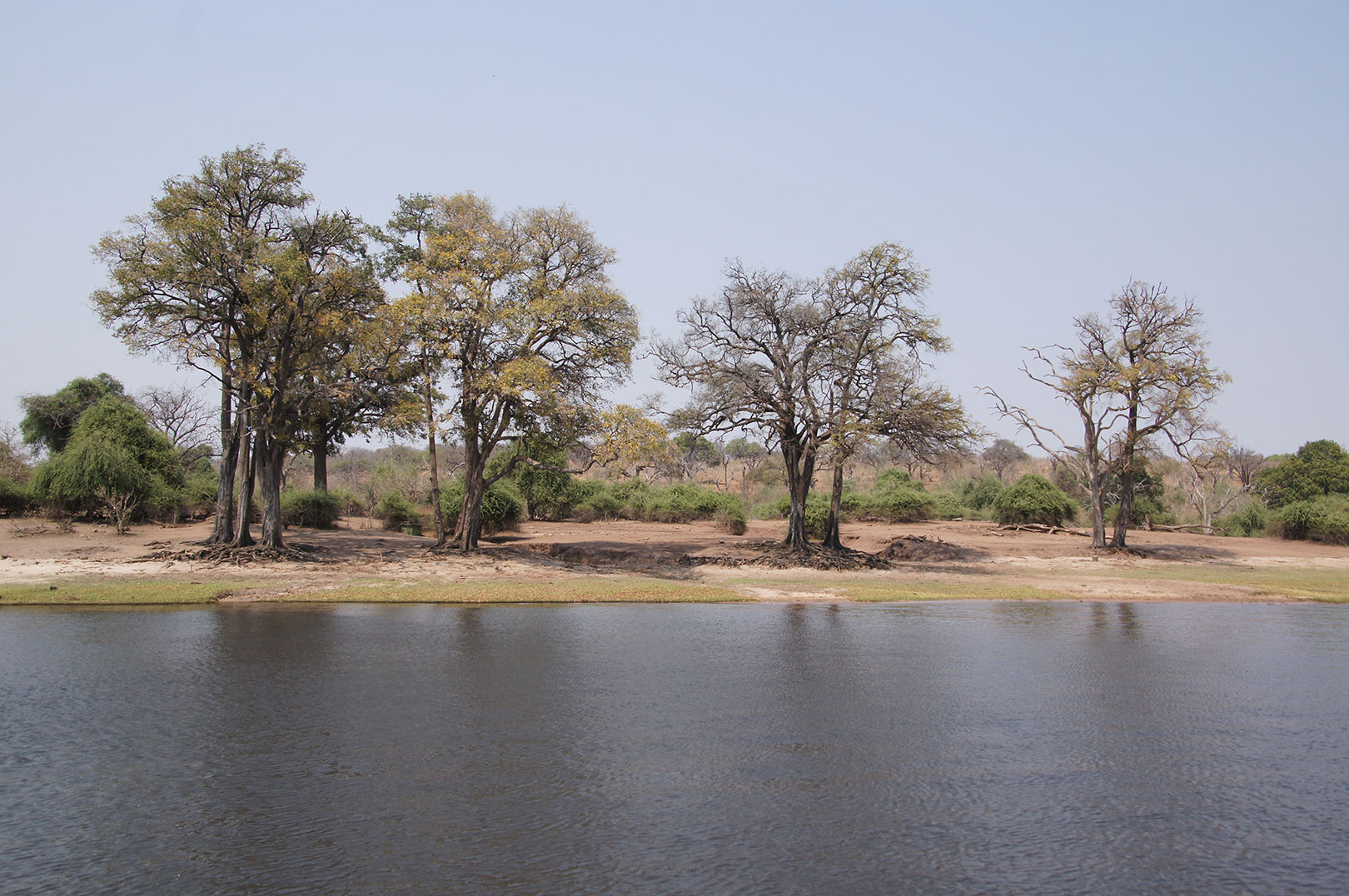 About Sagewood Consulting